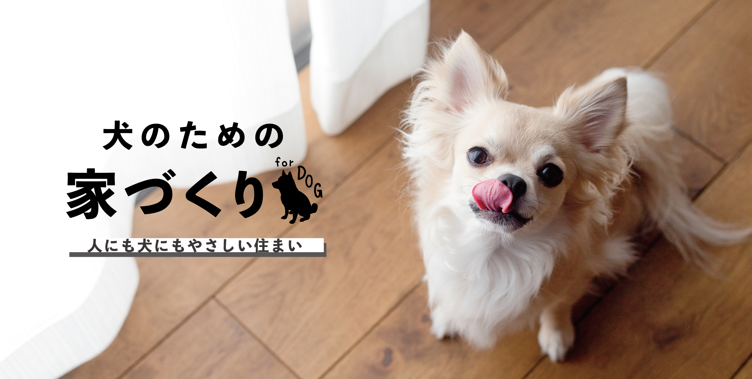 犬のための家づくり 人にも犬にもやさしい住まい マンションリフォームのサンリフォーム 大阪 神戸 西宮 吹田 京都 横浜 東京