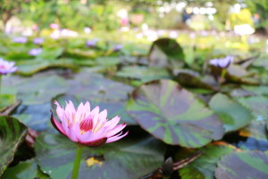 IMG_2472