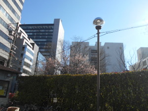 DSCN2323