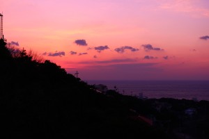 IMG_3354
