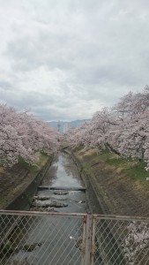 DSC_1500