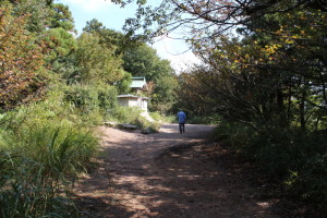 二上山②
