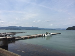 IMG_2741