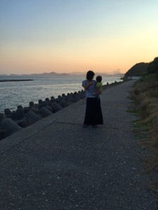 海