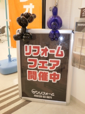 P8071516ｺﾋﾟｰ