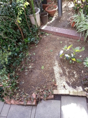 20150219_093342.jpg