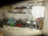 P1040947.jpg