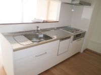 PA172237.jpg
